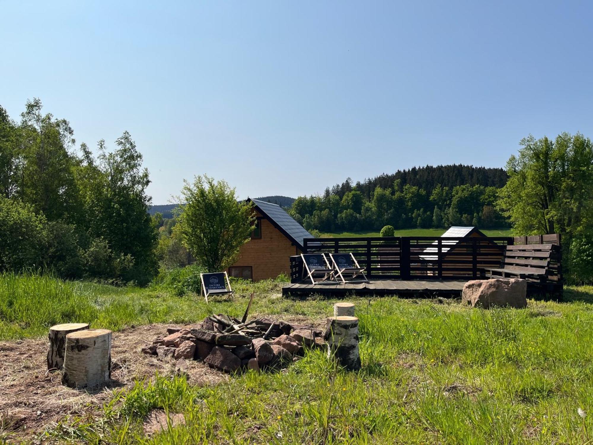Domki W Bartnicy - Gory Sowie Ludwikowice Kłodzkie Exteriör bild